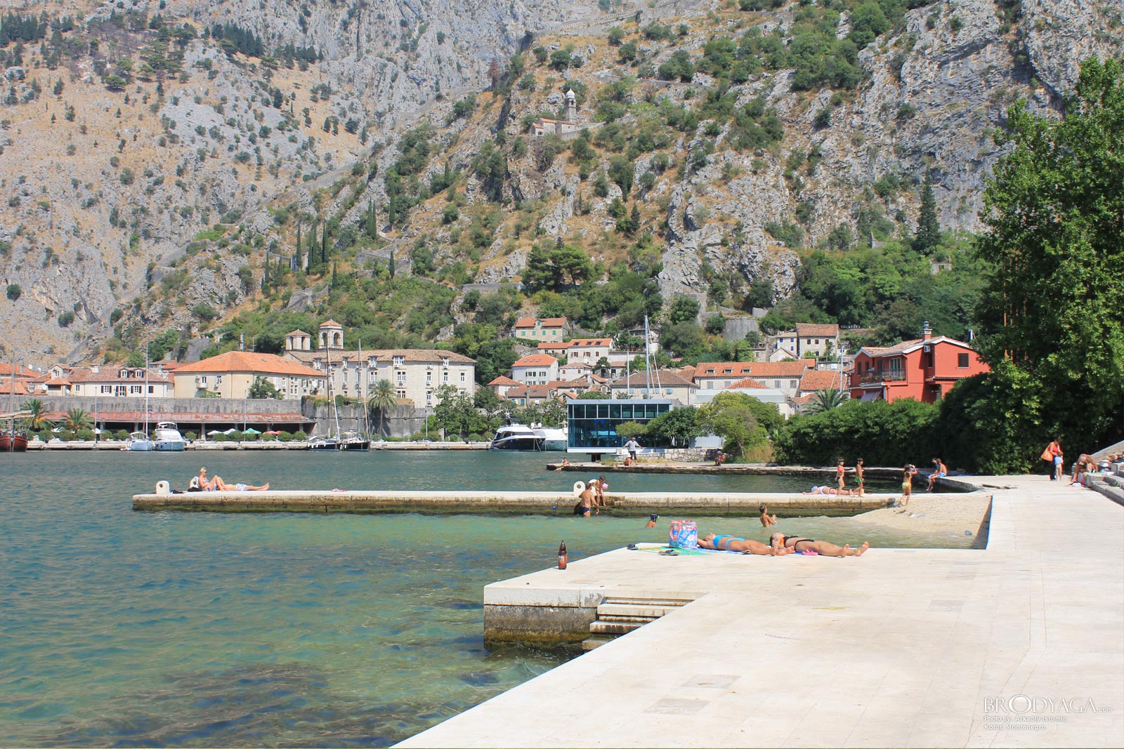 Kotor